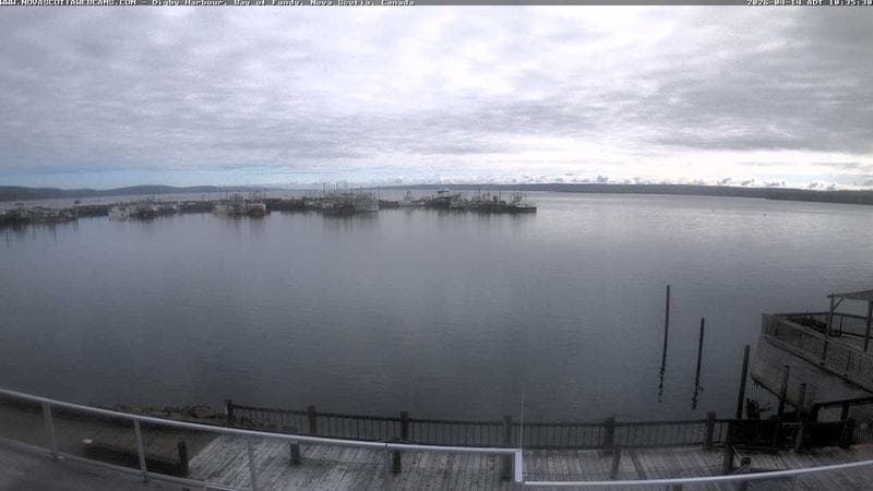 Digby Harbour