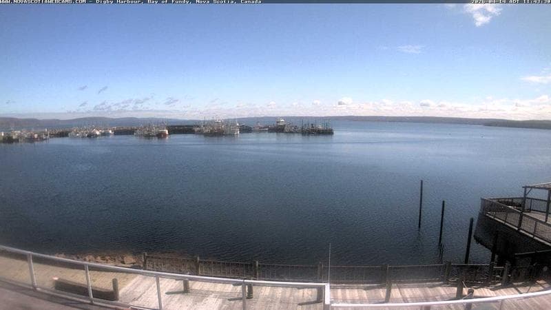Digby Harbour