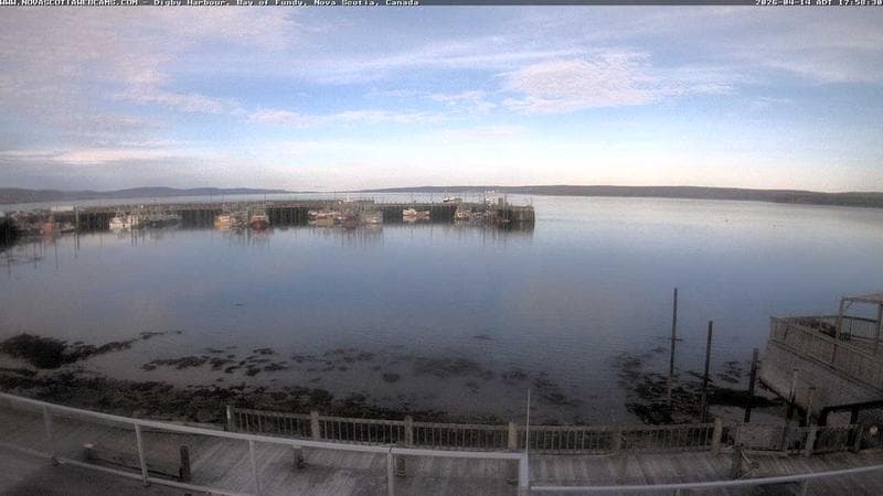 Digby Harbour