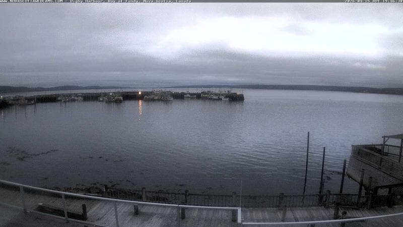 Digby Harbour