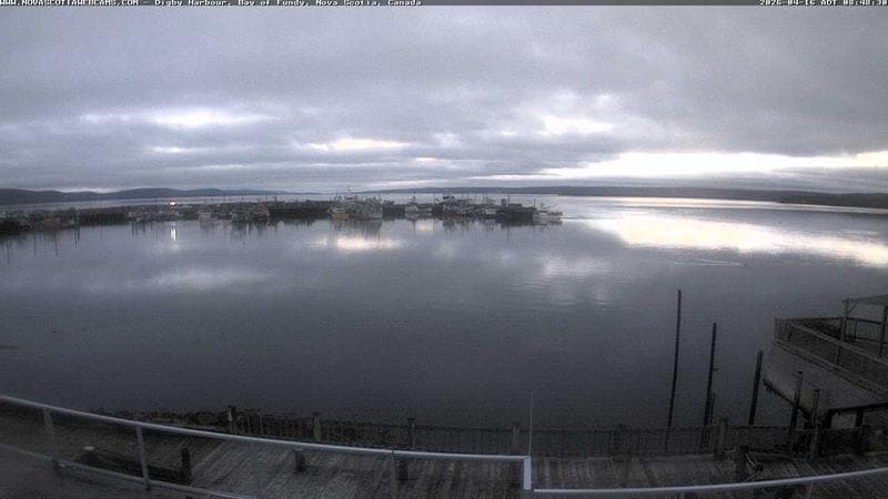 Digby Harbour
