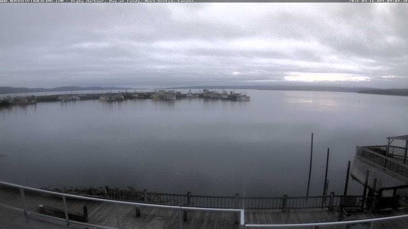 Digby Harbour