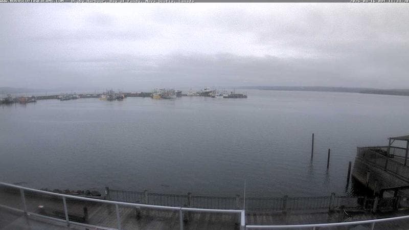 Digby Harbour
