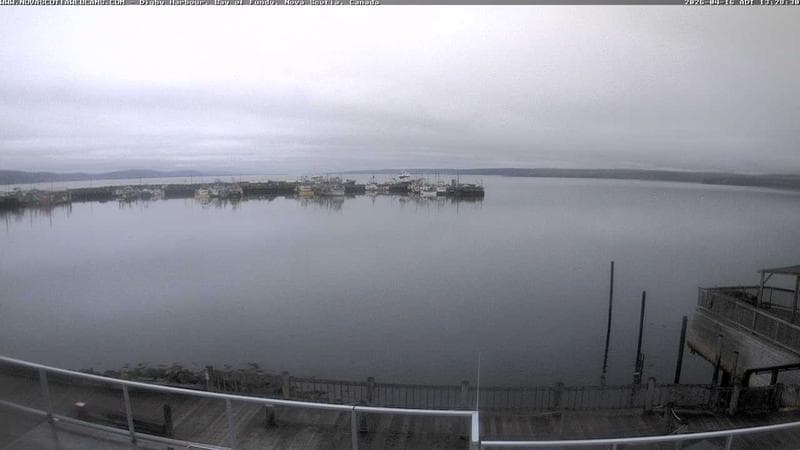 Digby Harbour