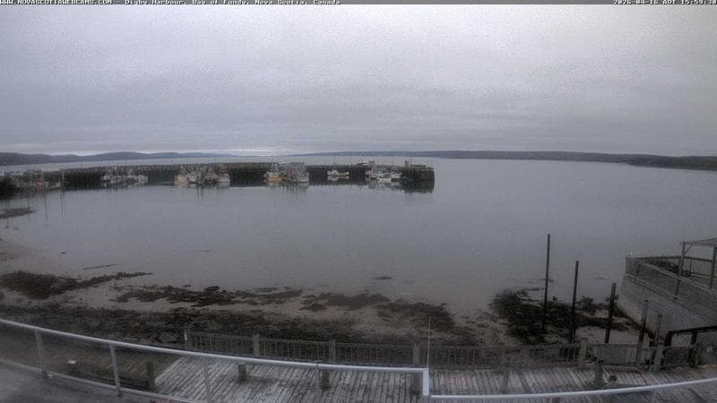 Digby Harbour