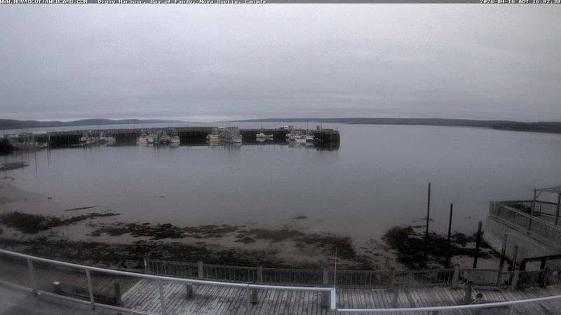 Digby Harbour