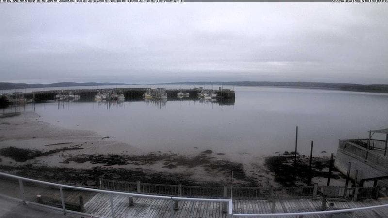 Digby Harbour