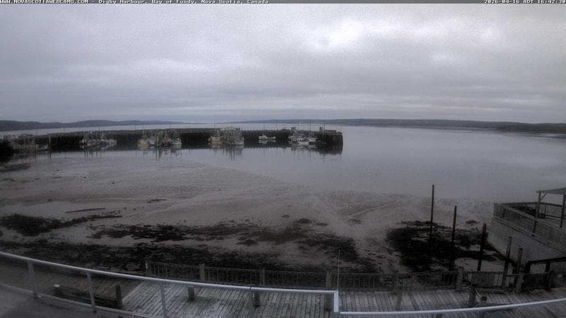 Digby Harbour