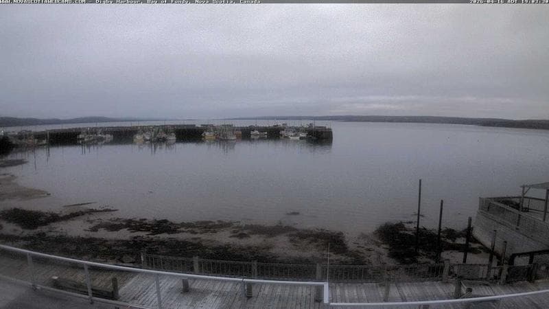 Digby Harbour