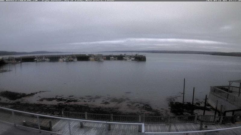 Digby Harbour
