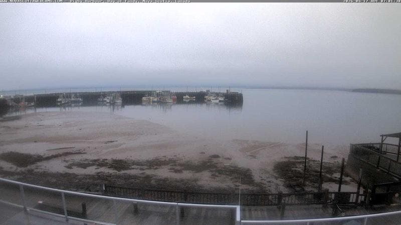 Digby Harbour