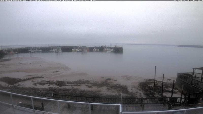 Digby Harbour