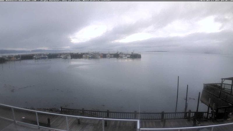 Digby Harbour