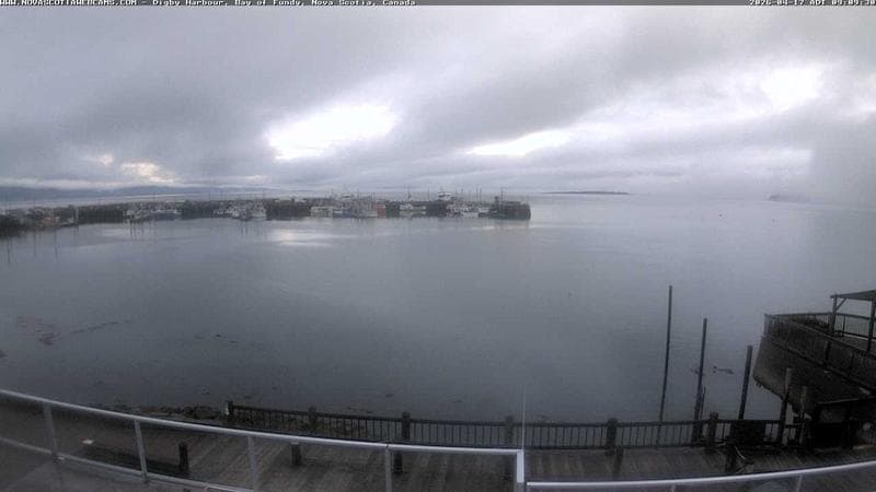 Digby Harbour