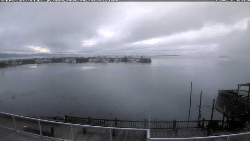 Digby Harbour