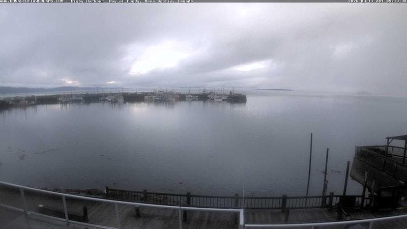 Digby Harbour