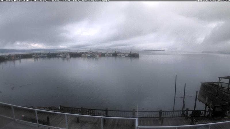 Digby Harbour