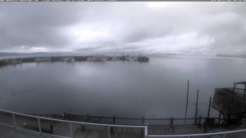 Digby Harbour