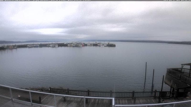 Digby Harbour