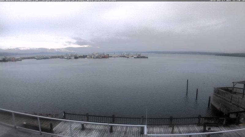 Digby Harbour