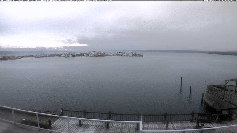 Digby Harbour