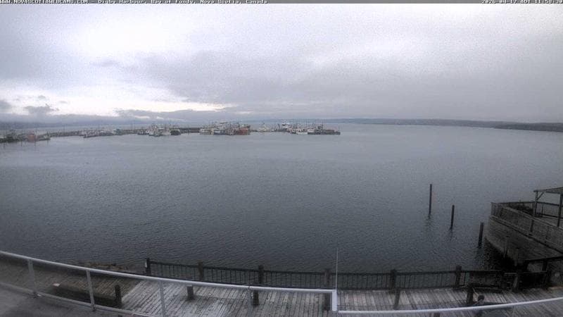 Digby Harbour