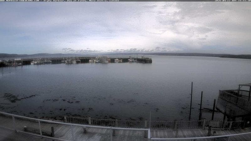 Digby Harbour