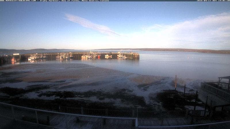 Digby Harbour