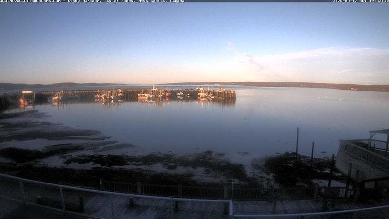 Digby Harbour