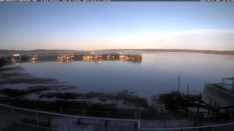 Digby Harbour