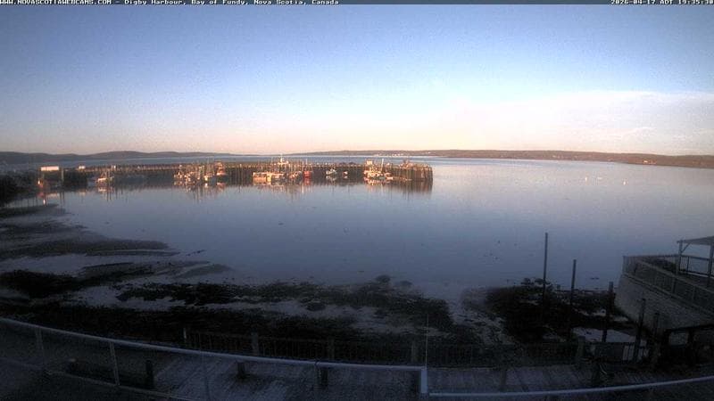 Digby Harbour