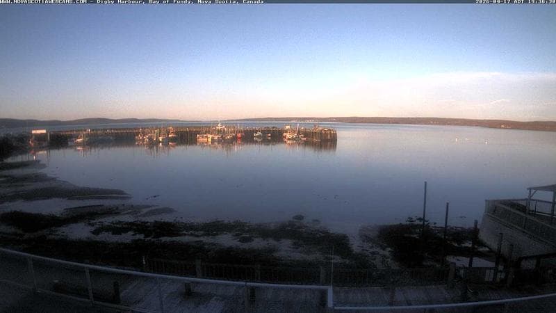 Digby Harbour