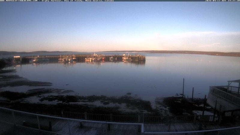 Digby Harbour