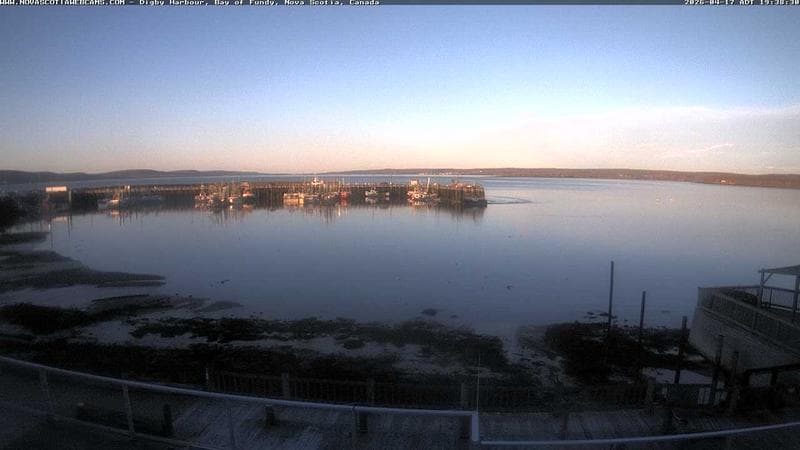 Digby Harbour