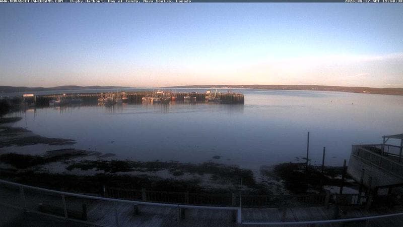 Digby Harbour