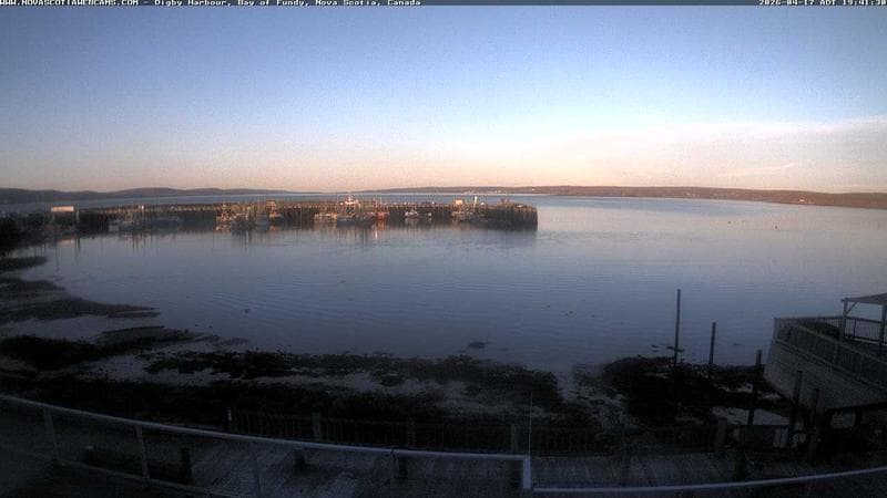 Digby Harbour