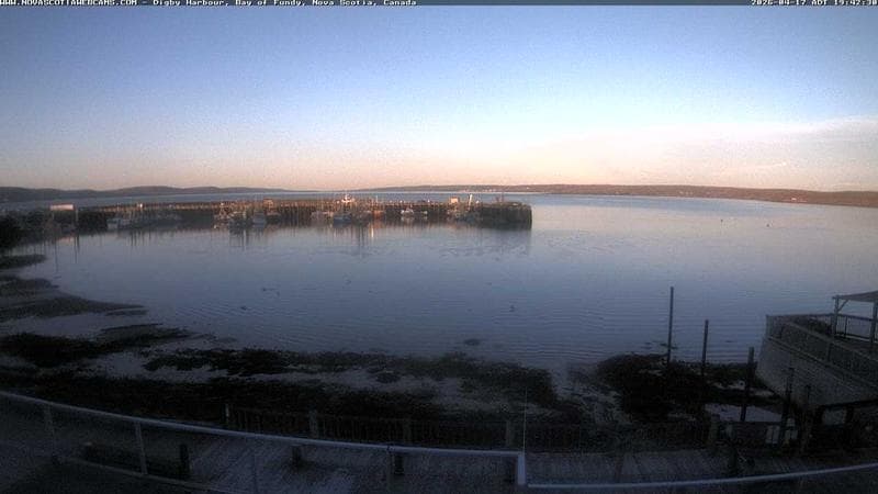 Digby Harbour