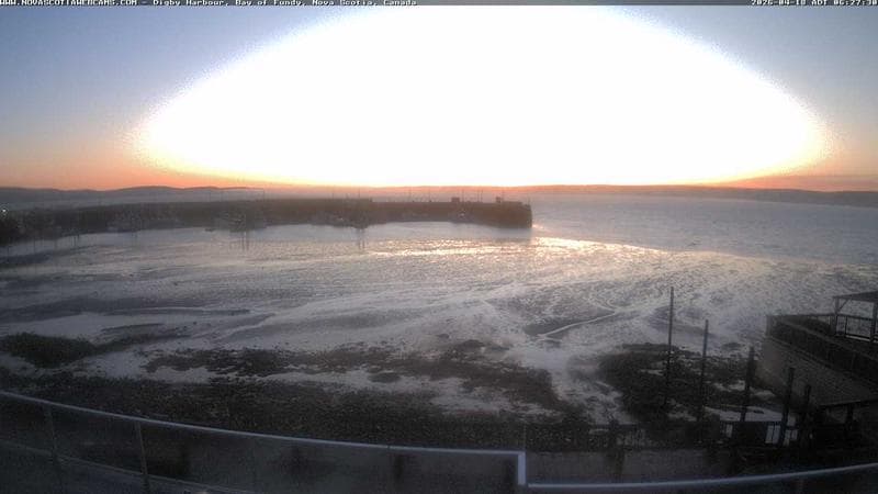 Digby Harbour