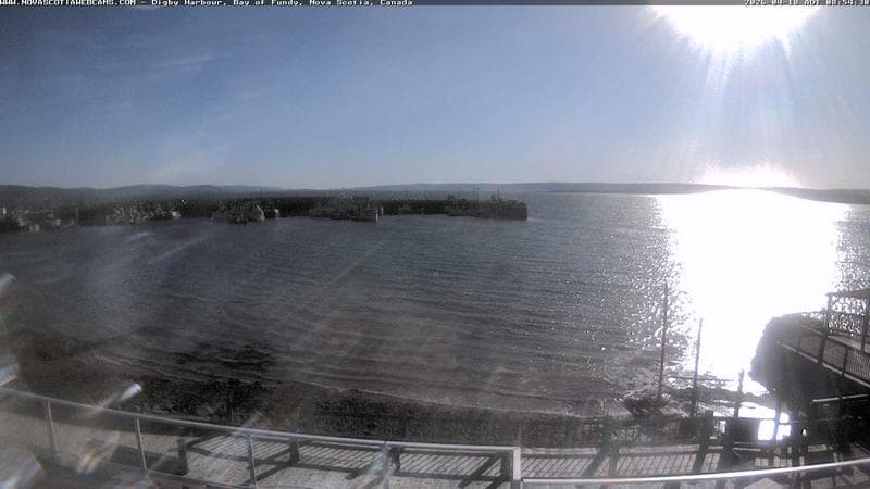 Digby Harbour