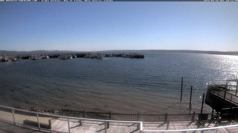 Digby Harbour
