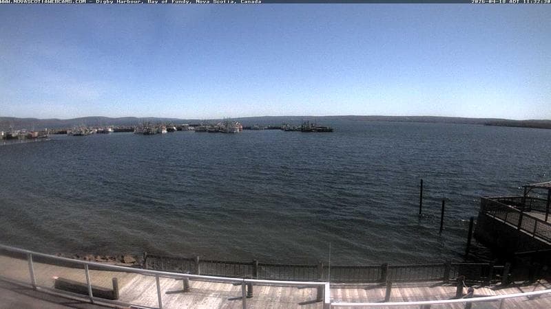Digby Harbour