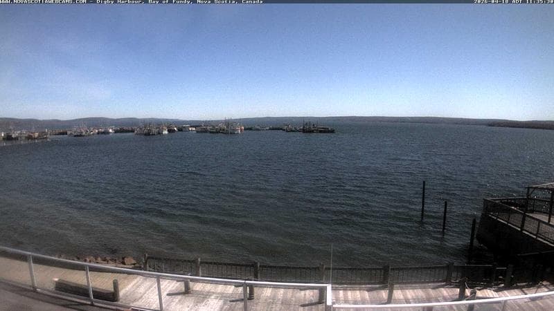 Digby Harbour