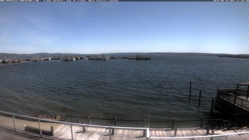 Digby Harbour