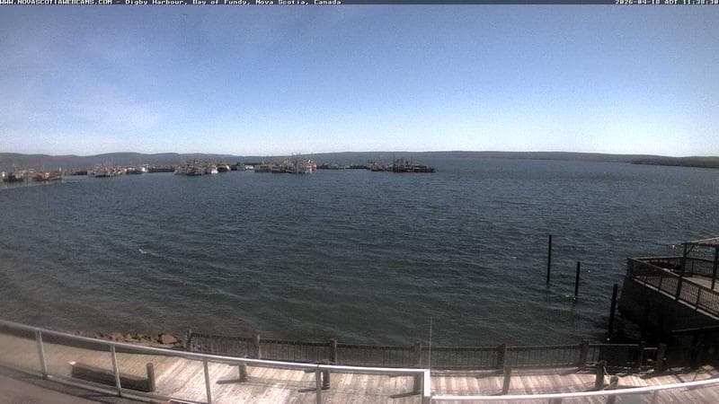 Digby Harbour