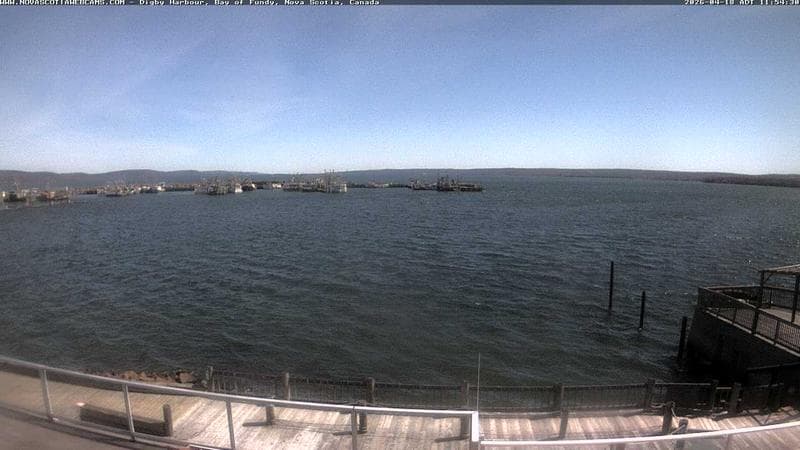 Digby Harbour