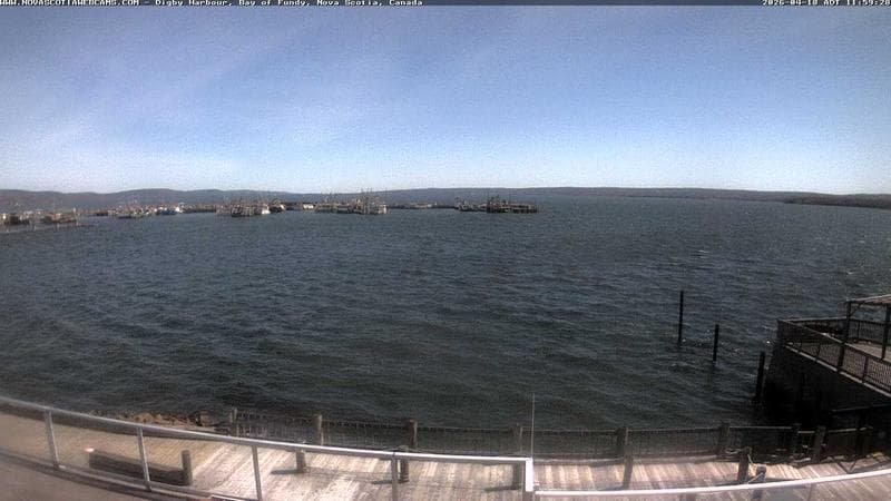 Digby Harbour