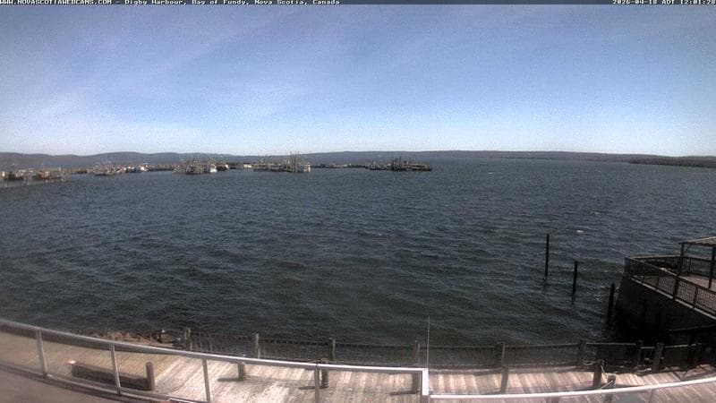 Digby Harbour