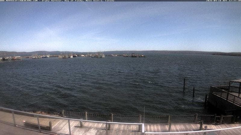 Digby Harbour