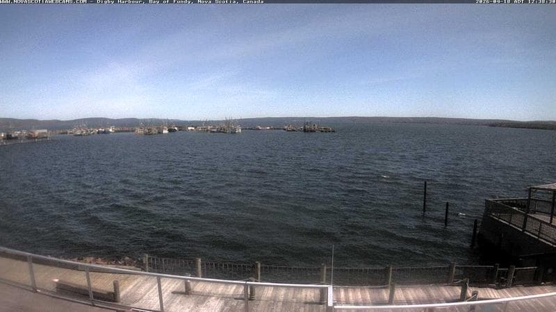 Digby Harbour