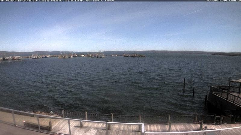 Digby Harbour